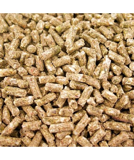 TOP`s Organic Parrot Food - Small Pellets 3lb